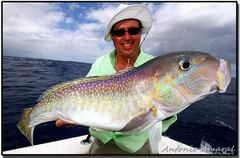 Brazilian Tilefish photo 1