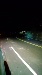 Lepus sinensis formosus