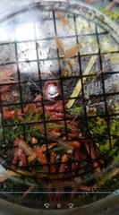 Eubranchipus oregonus