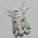 Black-etched Prominent Moth - Photo (c) Andy Reago & Chrissy McClarren, some rights reserved (CC BY)