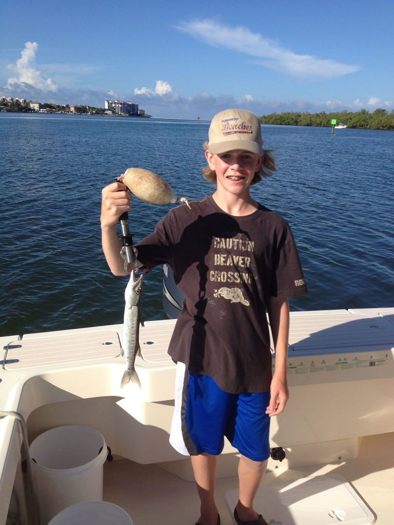 Great barracuda