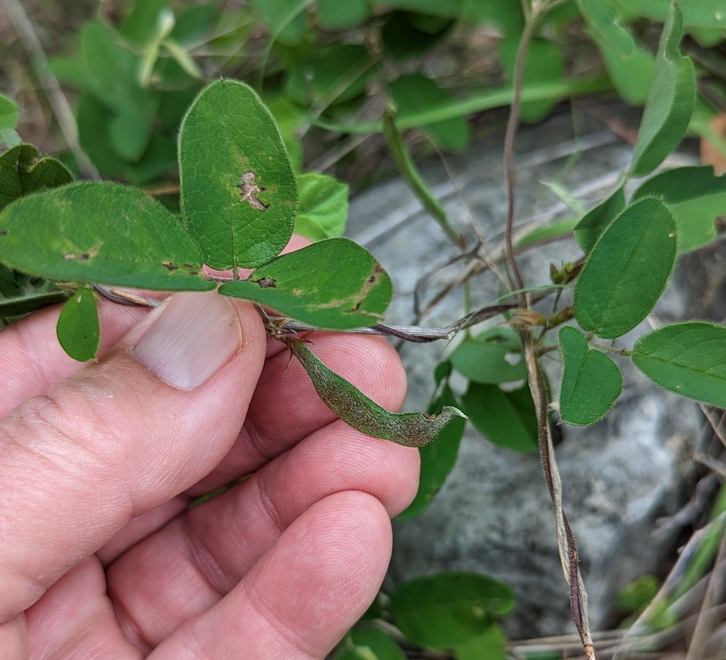 Baptist M S Imaging Center North Central San Antonio Tx