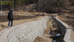 Hynobius unisacculus