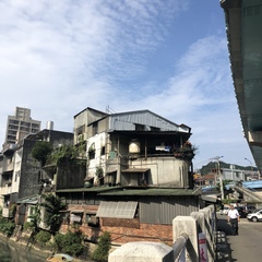 Nycticorax nycticorax