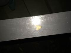 Parasiccia punctilinea