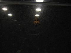 Macroglossum divergens