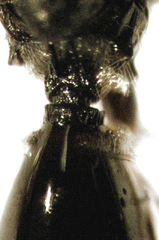 Leptopilina heterotoma
