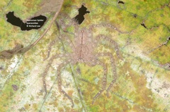 Heteropoda davidbowie