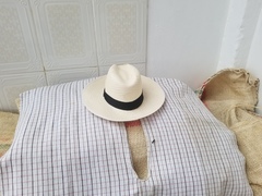 Oncometopia caucaensis