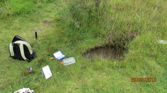 Gastrotheca riobambae