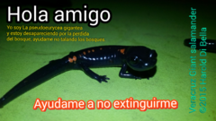 Isthmura gigantea