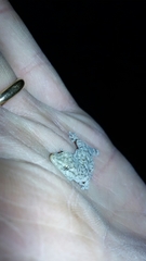 Tarentola mauritanica