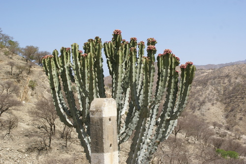 Foto de Candelabro