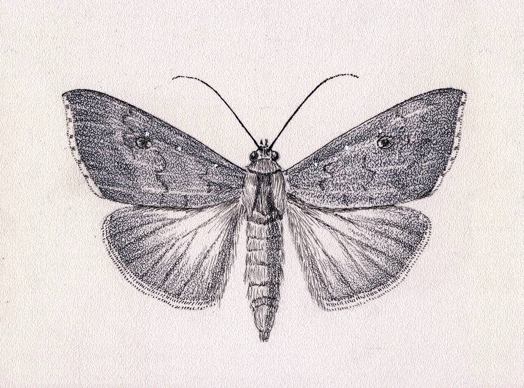 Alabama