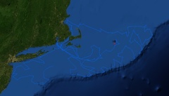 Golfingia margaritacea