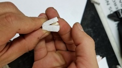 Zhuliangomyces illinitus