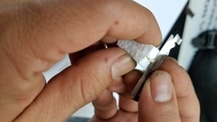 Zhuliangomyces illinitus