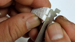 Zhuliangomyces illinitus