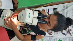 Zhuliangomyces illinitus