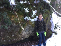 Andreiomyces morozianus