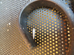 Ethmia semitenebrella