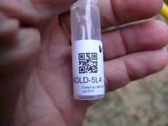 Eisenia andrei