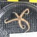 Ophiacantha rhachophora - Photo (c) dfopacific, osa oikeuksista pidätetään (CC BY-NC), lähettänyt dfopacific