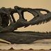 Allosaurus - Photo (c) Geoffrey Lowe, algunos derechos reservados (CC BY-SA)