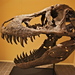 Dinosaurs - Photo (c) Steve Jurvetson, some rights reserved (CC BY)