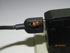 Pelonium