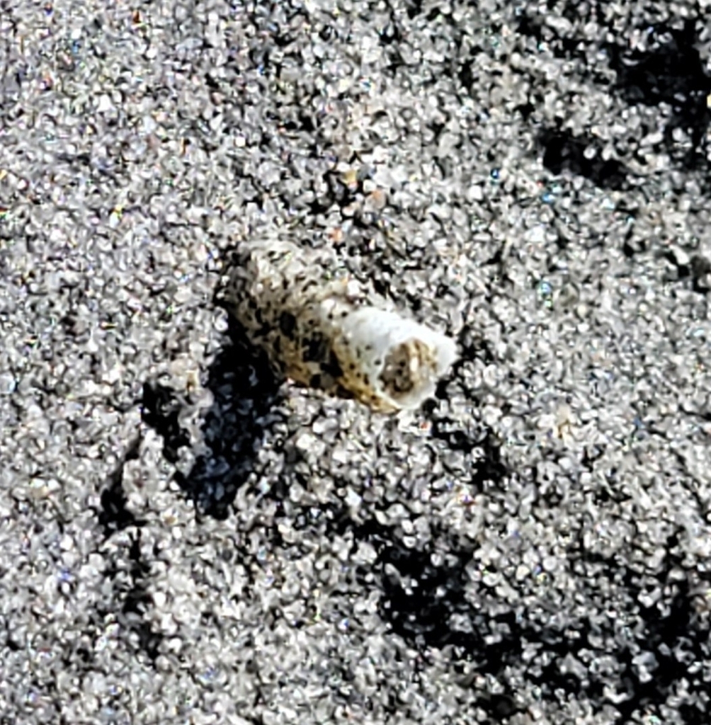 bambou worm