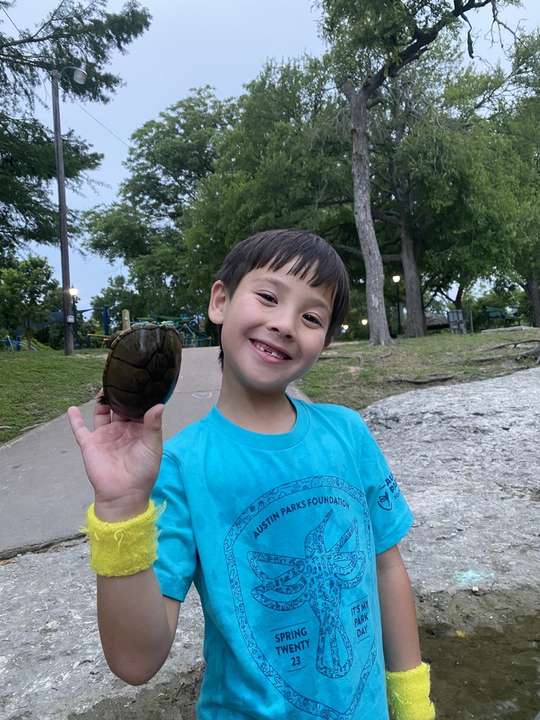 Eastern Musk Turtle from Pfluger Park, Pflugerville, TX, US on June 3 ...