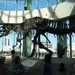 Acrocanthosaurus atokensis - Photo (c) Jason Adams, algunos derechos reservados (CC BY-NC-SA)
