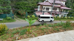 Varanus salvator salvator