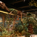 Albertosaurus sarcophagus - Photo (c) Ryan Somma, some rights reserved (CC BY-SA)