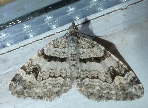 Northern Carpet photo 4