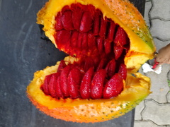 Momordica cochinchinensis