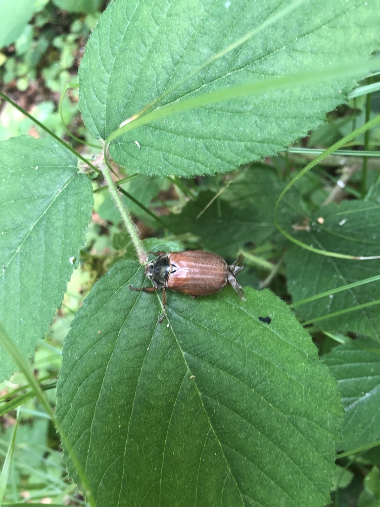 Відключення світла рава руська