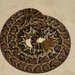 Cuban Tree Boa - Photo (c) Wayne Fidler, some rights reserved (CC BY-NC), uploaded by Wayne Fidler