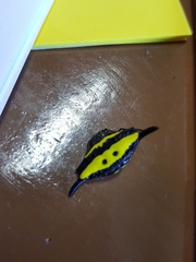 Gasteracantha hecata