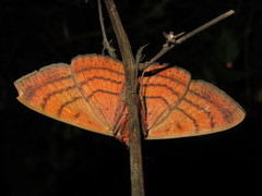 Spirama