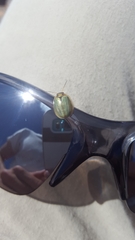 Paropsisterna bimaculata