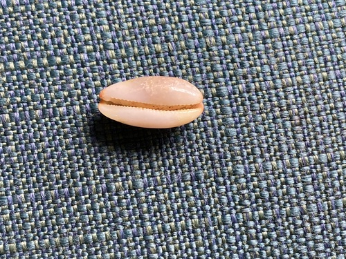 Luria isabella observed 2023-06-04