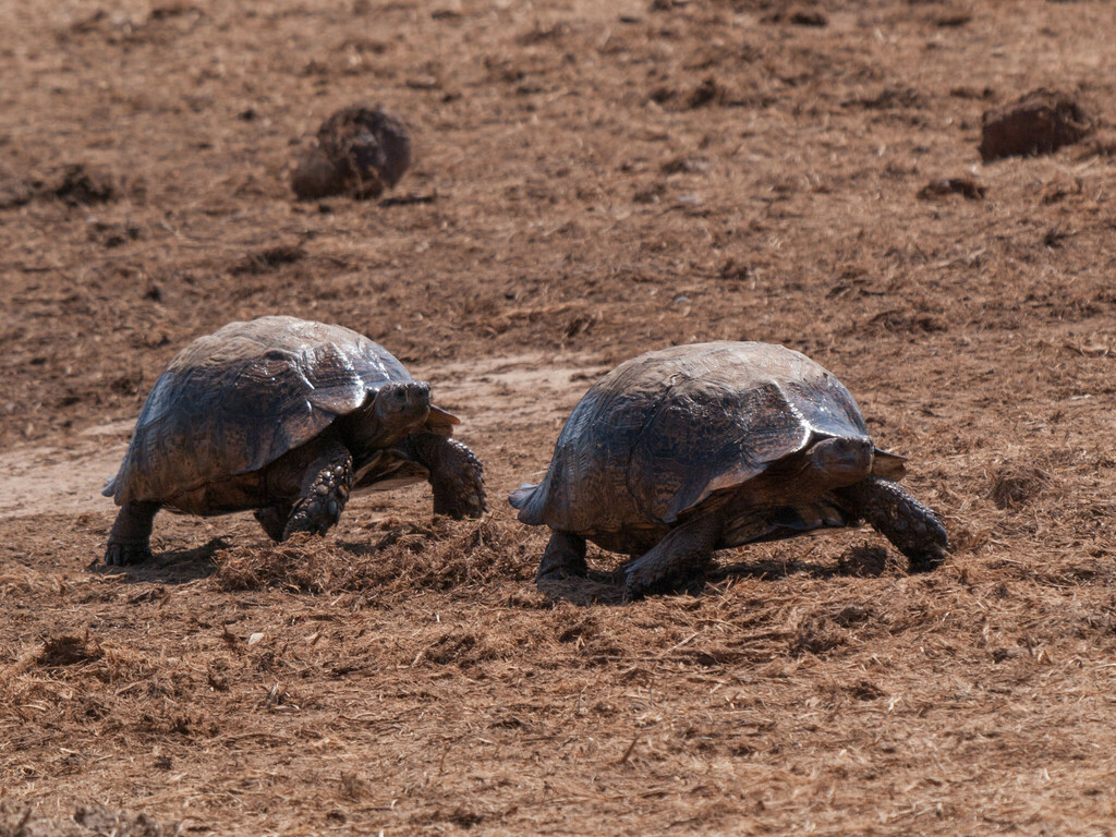 Photo by jean hirons