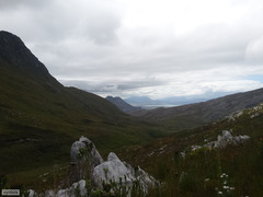 Sarothrura affinis affinis