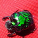 Escarabajo Pelotero Diablo Verde - Photo (c) Jaime Camacho, algunos derechos reservados (CC BY-NC), subido por Jaime Camacho