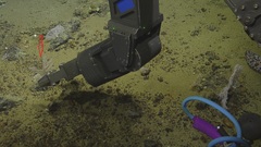 Solenogastres