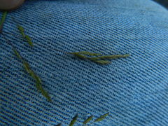 Torreyochloa pallida