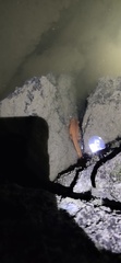 Yunwu Warty Newt photo 5