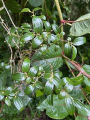 © Wolli Huang, some rights reserved (CC-BY-NC)